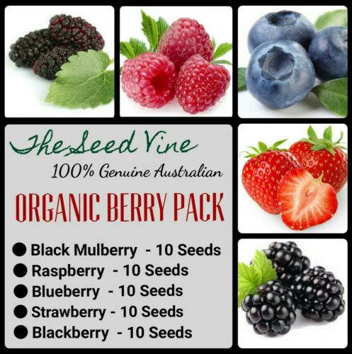 Mixed Organic Berry Seed Pack