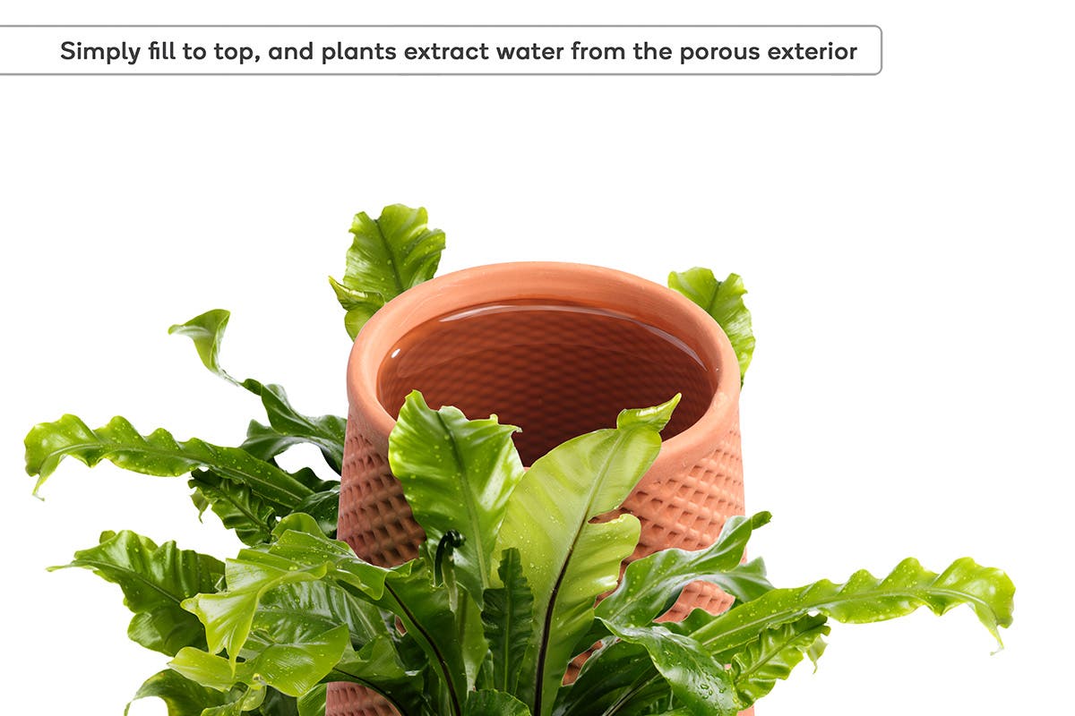 GARDEN KNIGHT™ Self-Watering Terracotta Ceramic Planter